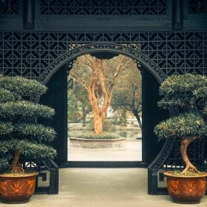 MIGLOT Eau de Parfum 50 ml Formula 30